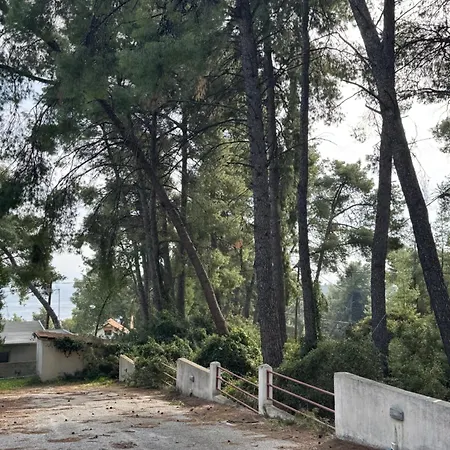 別荘 Paradise Pines Xenia - Near Hroussou And Xenia *
