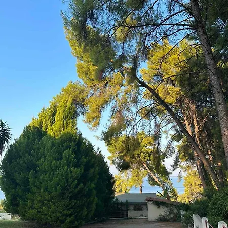 Paradise Pines Xenia - Near Hroussou And Xenia Dom wakacyjny
