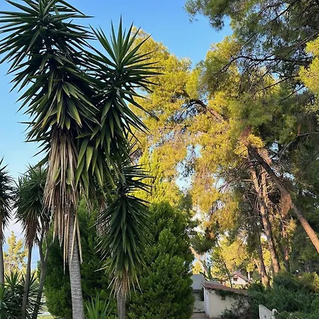 Paradise Pines Xenia - Near Hroussou And Xenia بيت للعطل