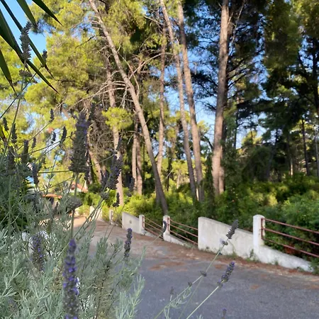 Paradise Pines Xenia - Near Hroussou And Xenia بيت للعطل *