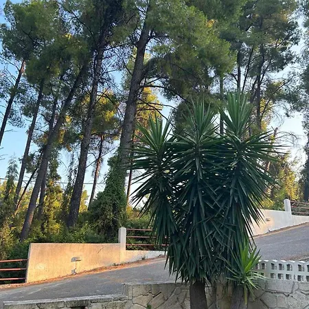 Paradise Pines Xenia - Near Hroussou And Xenia بيت للعطل *