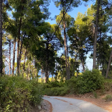 Paradise Pines Xenia - Near Hroussou And Xenia بيت للعطل
