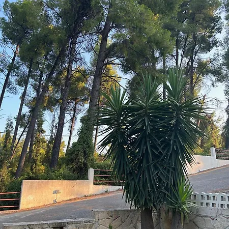 Paradise Pines Xenia - Near Hroussou And Xenia باليوري